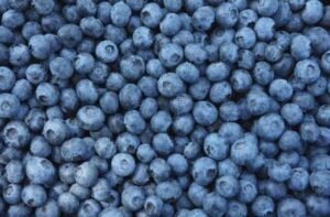 What Foods Naturally Slow Down Aging